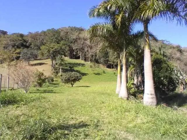 Sítio / Chácara para Venda em Rodeio/SC São Pedro Novo