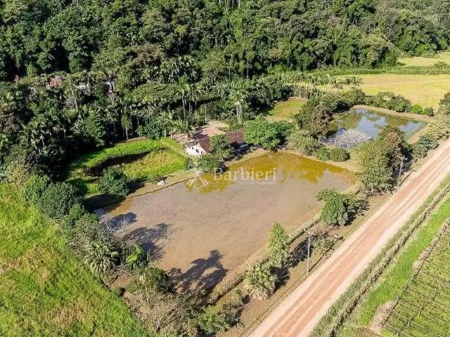 Sítio / Chácara para Venda em Rodeio/SC São Pedro Novo 5 Quartos
