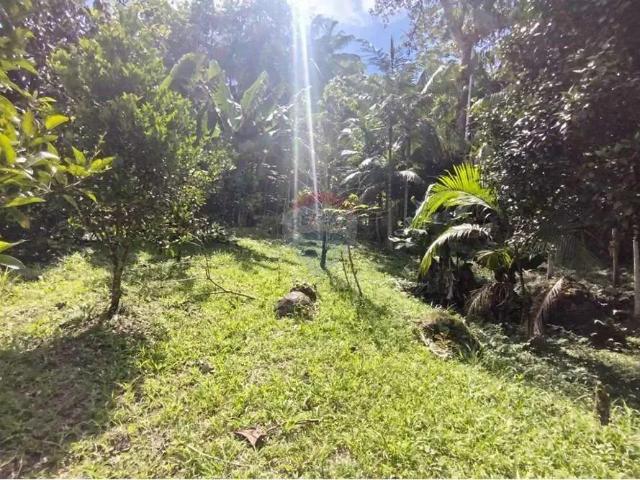 Sítio / Chácara para Venda em Rodeio/SC Rio Morto