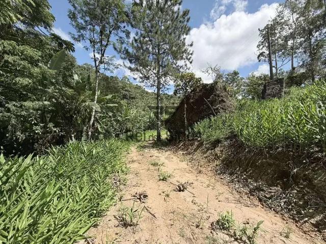 Sítio / Chácara para Venda em Rodeio/SC Zona Rural