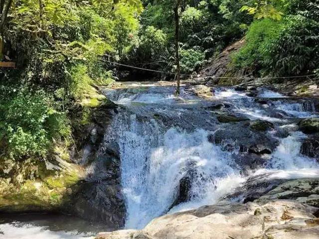 Sítio / Chácara para Venda em Rolante/RS Alto Rolantinho 2 Quartos