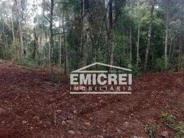 Sítio / Chácara para Venda em Rolante/RS Boa Esperança
