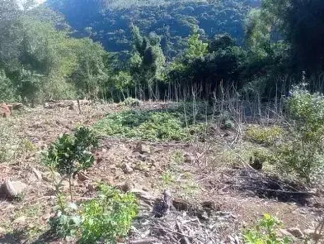 Sítio / Chácara para Venda em Rolante/RS Campinas 2 Quartos