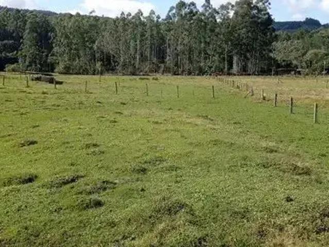 Sítio / Chácara para Venda em Rolante/RS Campinas