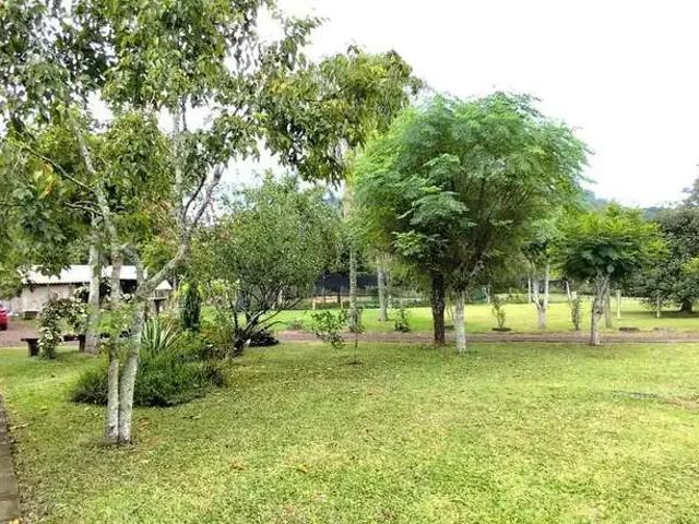 Sítio / Chácara para Venda em Rolante/RS Campinas