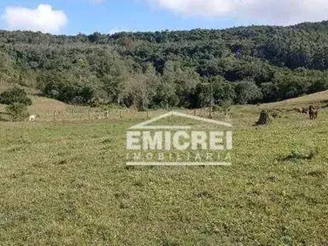 Sítio / Chácara para Venda em Rolante/RS Campinas