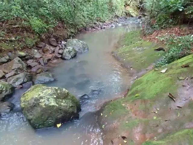 Sítio / Chácara para Venda em Rolante/RS Centro