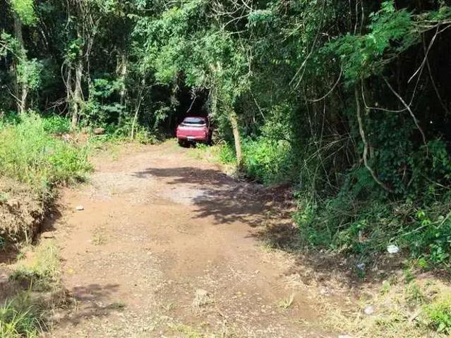 Sítio / Chácara para Venda em Rolante/RS Centro