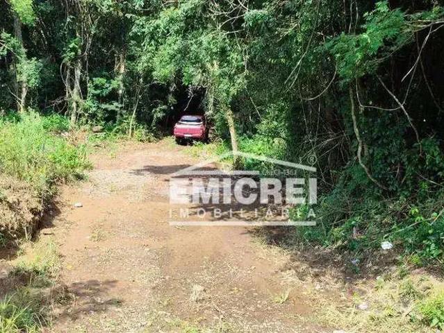 Sítio / Chácara para Venda em Rolante/RS Centro