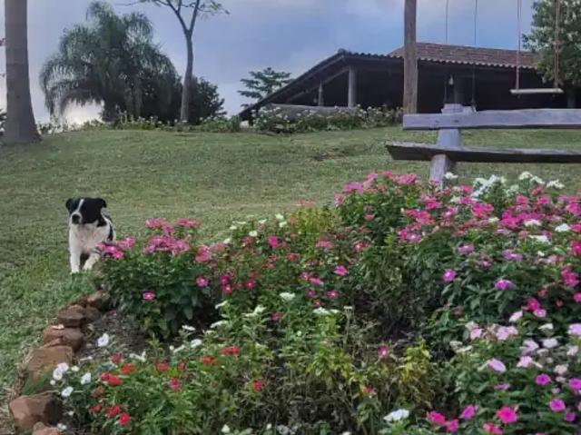 Sítio / Chácara para Venda em Rolante/RS Zona Rural 2 Quartos