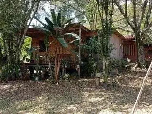 Sítio / Chácara para Venda em Rolante/RS Zona Rural