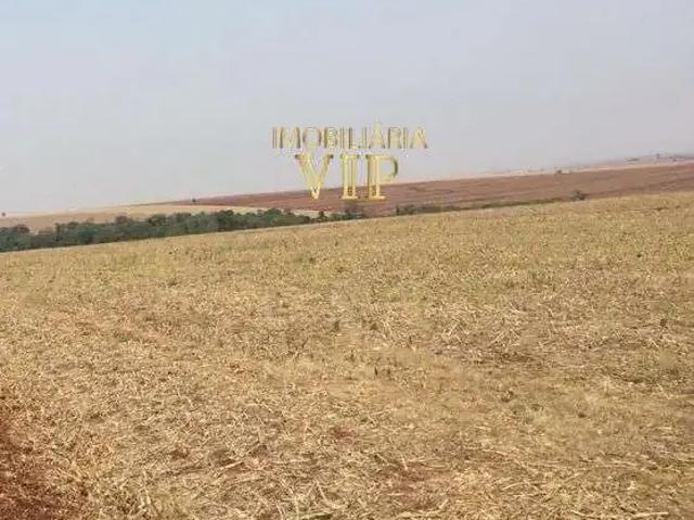 Sítio / Chácara para Venda em Rolândia/PR Área Rural de Rolândia 1 Quartos