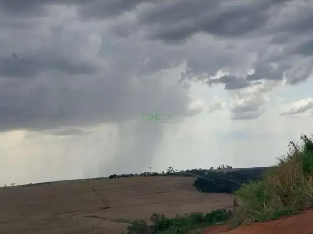 Sítio / Chácara para Venda em Rolândia/PR Área Rural de Rolândia