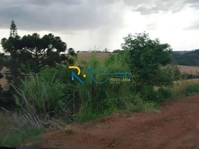 Sítio / Chácara para Venda em Rolândia/PR Área Rural de Rolândia