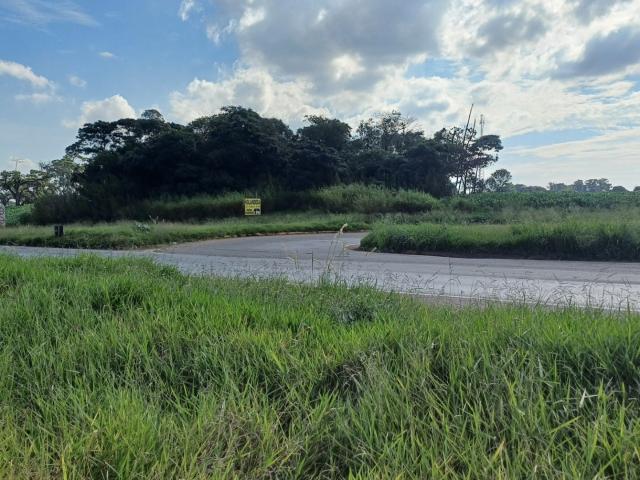Sítio / Chácara para Venda em Rolândia/PR Centro