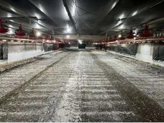 Sítio / Chácara para Venda em Roncador/PR Zona Rural