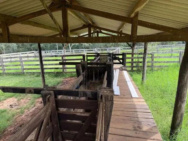 Sítio / Chácara para Venda em Rondonópolis/MT Jardim Rondônia 1 Quartos