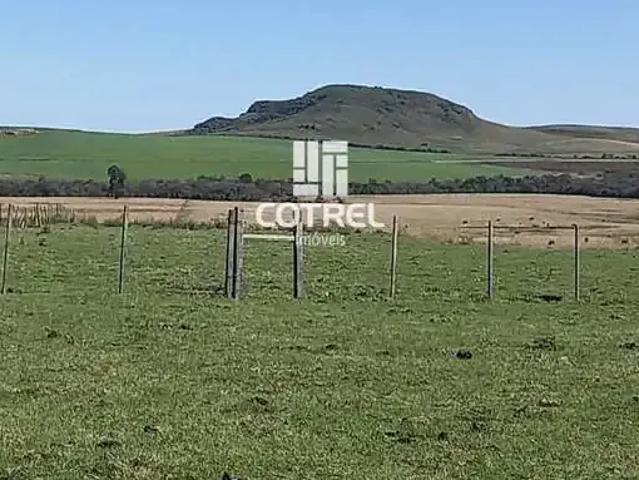Sítio / Chácara para Venda em Rosário do Sul/RS Zona Rural