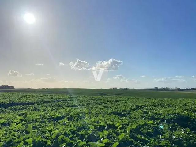 Sítio / Chácara para Venda em Rosário do Sul/RS Zona Rural