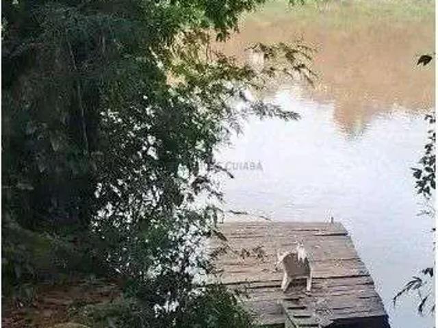 Sítio / Chácara para Venda em Rosário Oeste/MT Zona Rural 3 Quartos