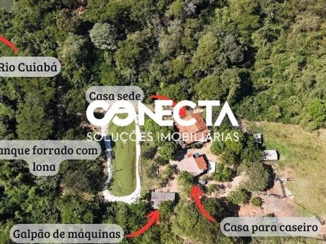 Sítio / Chácara para Venda em Rosário Oeste/MT Zona Rural 3 Quartos