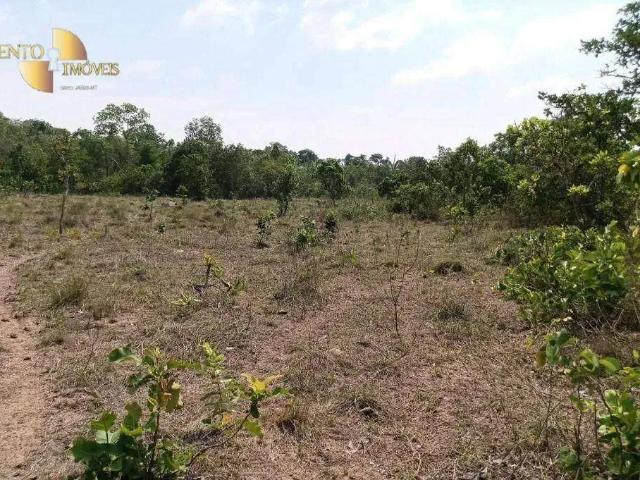 Sítio / Chácara para Venda em Rosário Oeste/MT Zona Rural