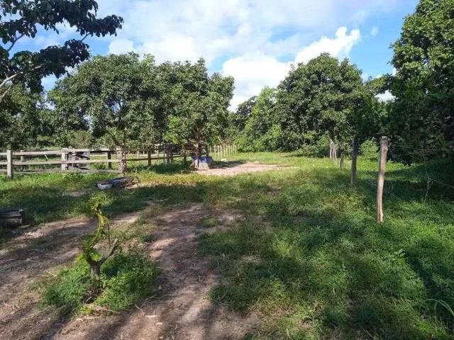 Sítio / Chácara para Venda em Rosário Oeste/MT Zona Rural 2 Quartos
