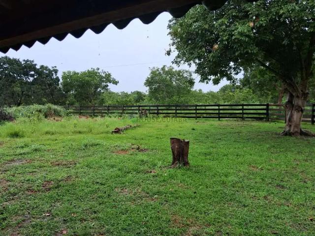 Sítio / Chácara para Venda em Rosário Oeste/MT Zona Rural 2 Quartos