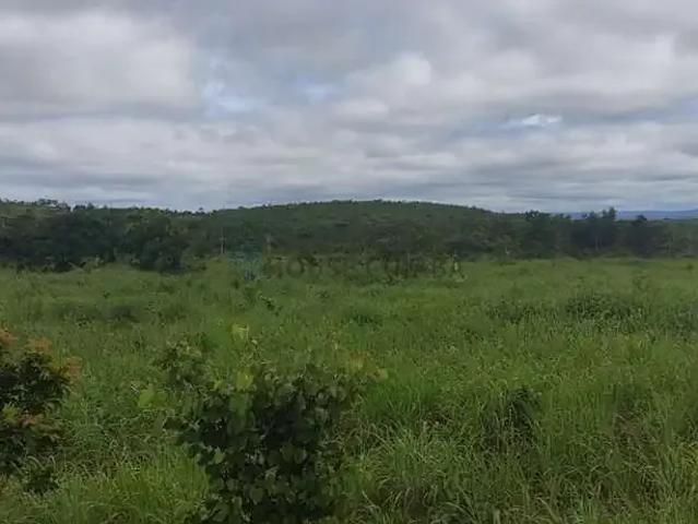Sítio / Chácara para Venda em Rosário Oeste/MT Zona Rural 2 Quartos