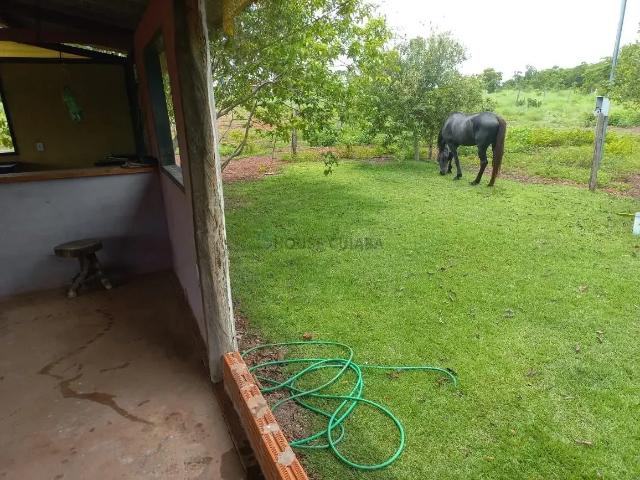 Sítio / Chácara para Venda em Rosário Oeste/MT Zona Rural 2 Quartos