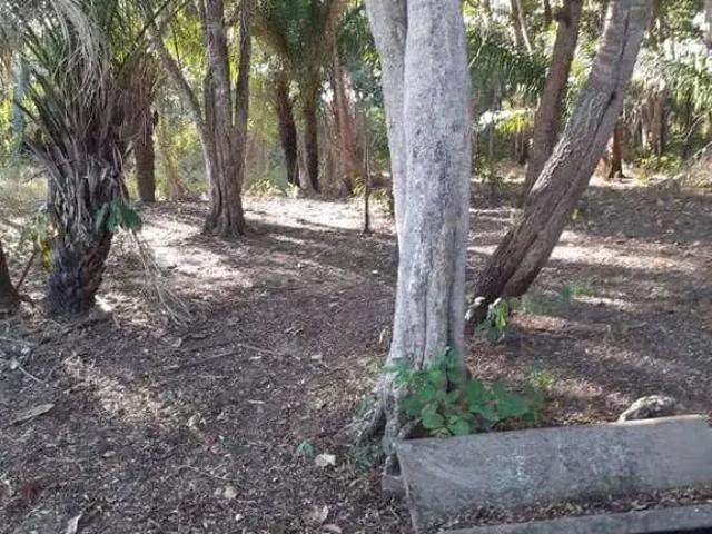 Sítio / Chácara para Venda em Rosário Oeste/MT Zona Rural