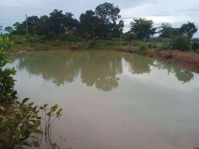 Sítio / Chácara para Venda em Rosário Oeste/MT Zona Rural