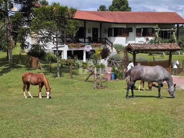 Sítio / Chácara para Venda em Rancho Queimado/SC Centro 3 Quartos