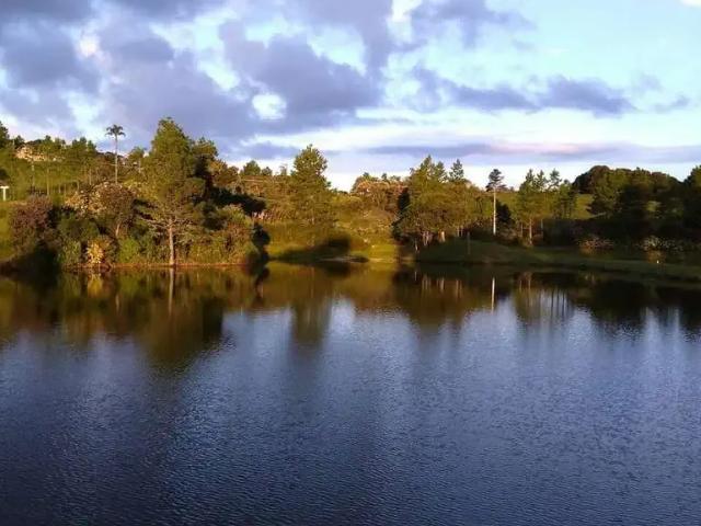 Sítio / Chácara para Venda em Rancho Queimado/SC Centro 7 Quartos