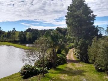 Sítio / Chácara para Venda em Rancho Queimado/SC Centro 7 Quartos