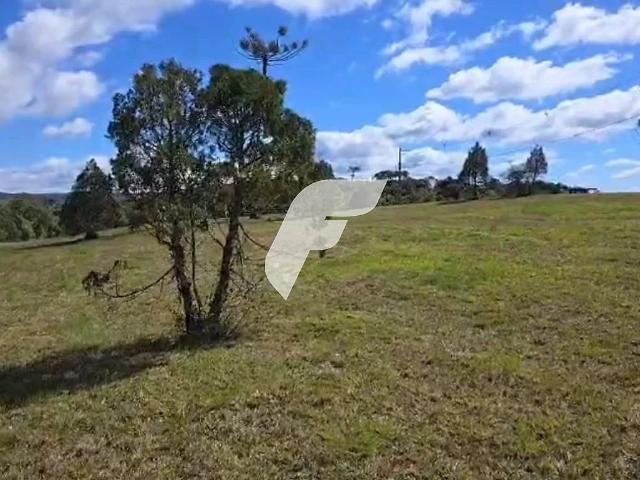 Sítio / Chácara para Venda em Rancho Queimado/SC Alto da Boa Vista