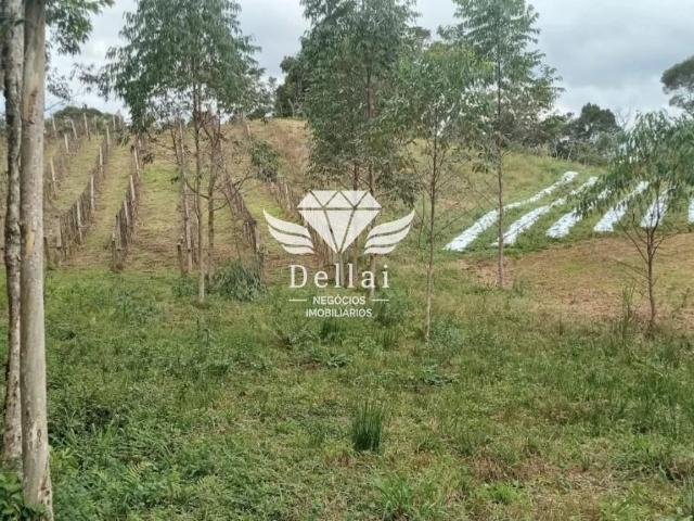 Sítio / Chácara para Venda em Rancho Queimado/SC Invernadinha 2 Quartos