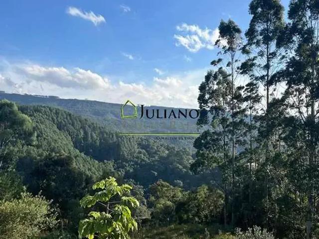 Sítio / Chácara para Venda em Rancho Queimado/SC Invernadinha 3 Quartos