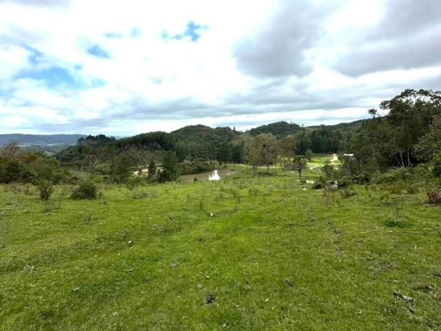 Sítio / Chácara para Venda em Rancho Queimado/SC Invernadinha