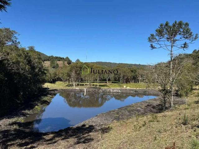 Sítio / Chácara para Venda em Rancho Queimado/SC Centro 2 Quartos