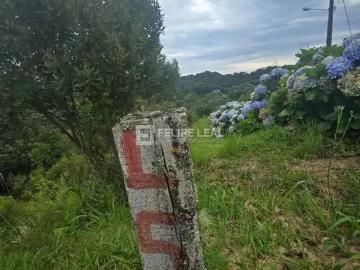 Sítio / Chácara para Venda em Rancho Queimado/SC Rio das Antas