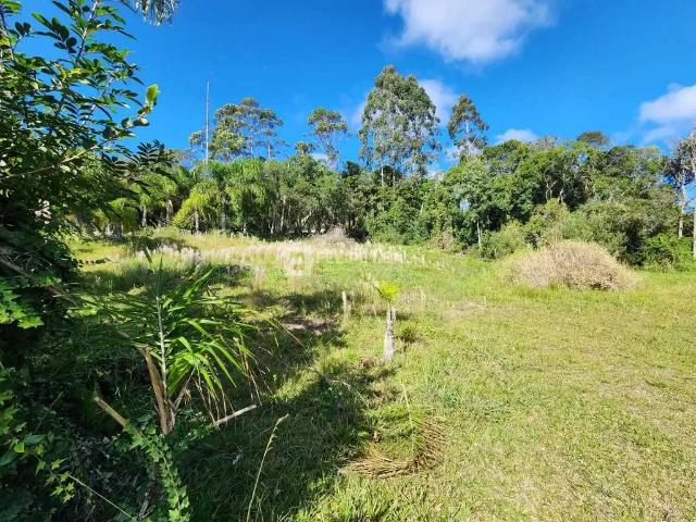 Sítio / Chácara para Venda em Rancho Queimado/SC Rio das Antas