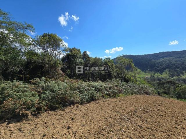Sítio / Chácara para Venda em Rancho Queimado/SC Rio Scharf