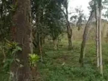 Sítio / Chácara para Venda em Rancho Queimado/SC Zona Rural