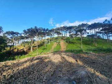 Sítio / Chácara para Venda em Rancho Queimado/SC Zona Rural