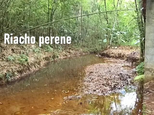 Sítio / Chácara para Venda em Recife/PE Guabiraba 4 Quartos
