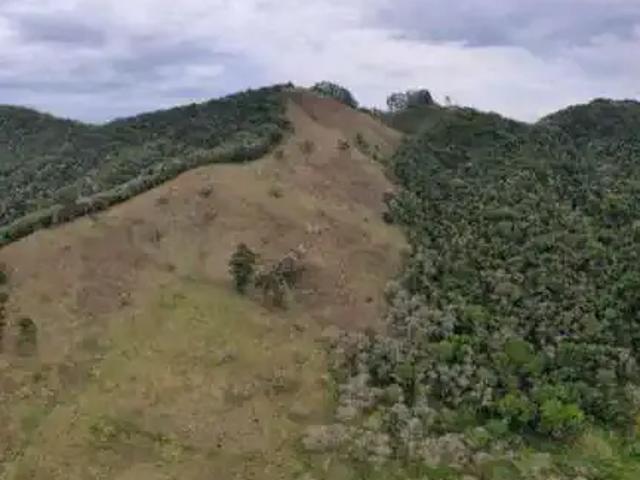 Sítio / Chácara para Venda em Redenção da Serra/SP Centro