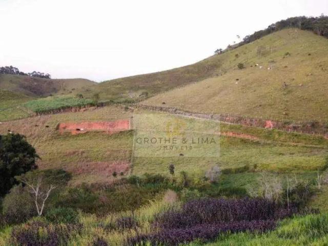 Sítio / Chácara para Venda em Redenção da Serra/SP Clementes