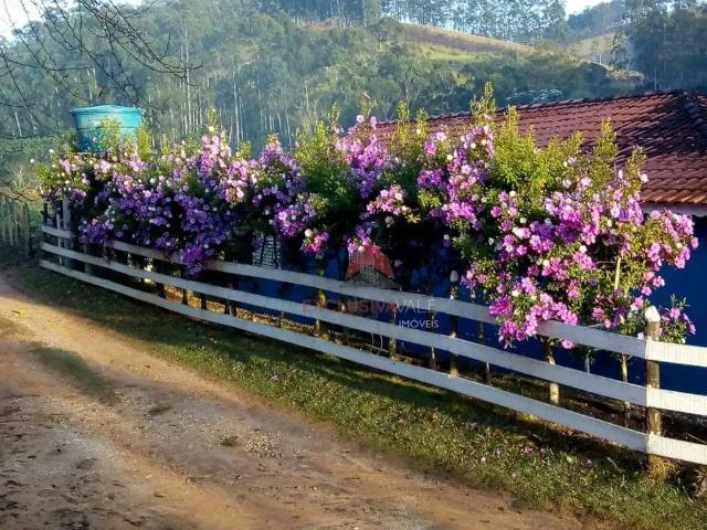 Sítio / Chácara para Venda em Redenção da Serra/SP Lagoa 2 Quartos