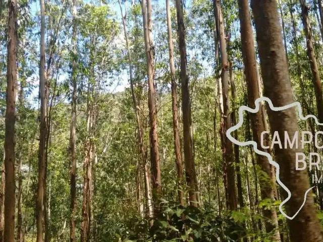 Sítio / Chácara para Venda em Redenção da Serra/SP Zona Rural 3 Quartos